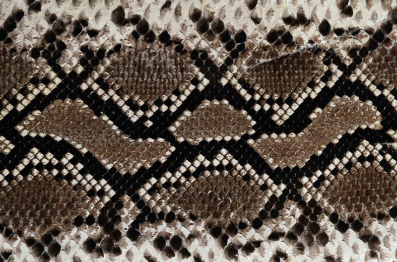 地毯-动物毛毯 068下载