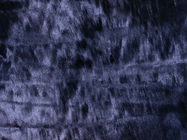 地毯-动物毛毯 095下载