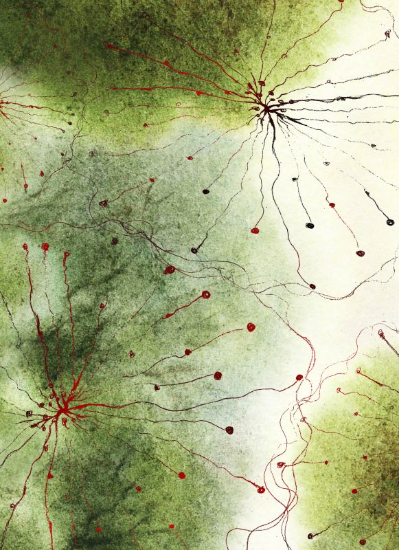地毯-中式地毯 019下载
