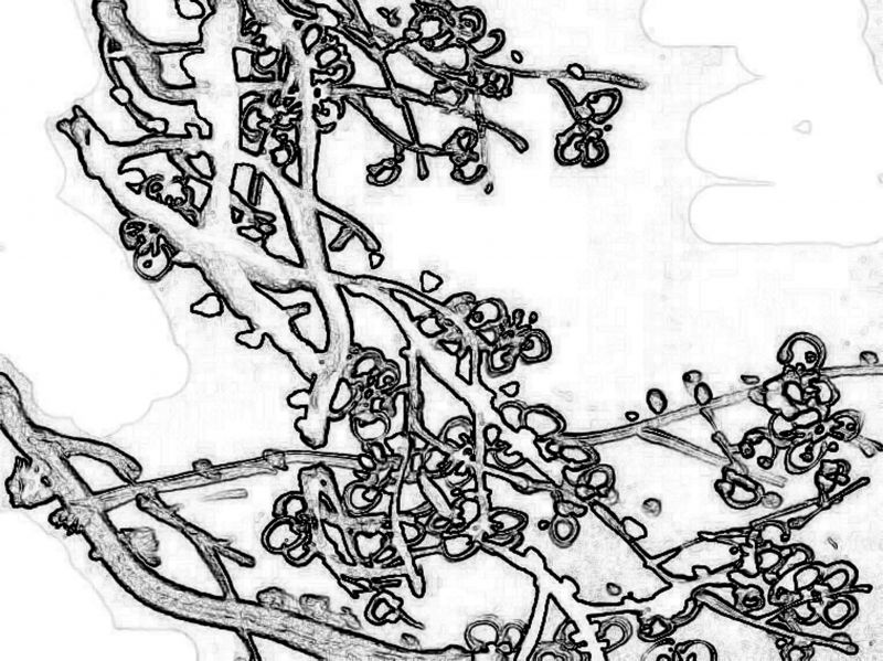 地毯-中式地毯 031下载