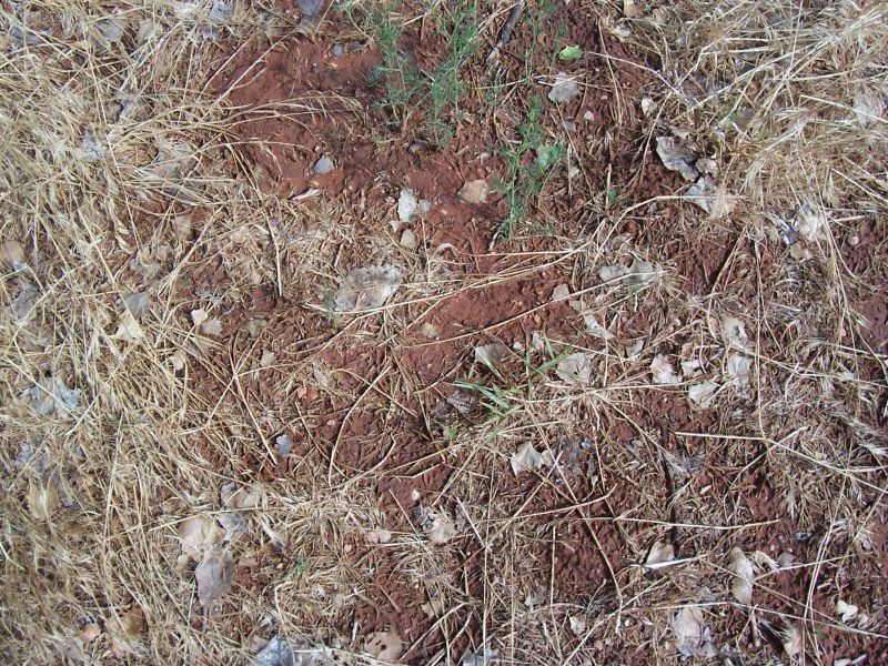 肌理 水泥 土地-草皮 003下载