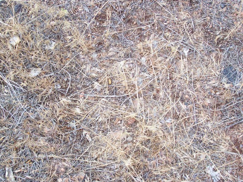 肌理 水泥 土地-草皮 008下载