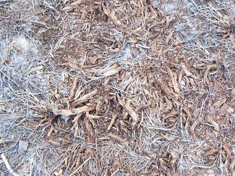 肌理 水泥 土地-草皮 009下载