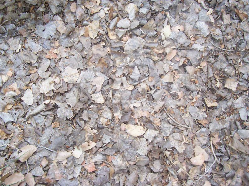 肌理 水泥 土地-草皮 010下载