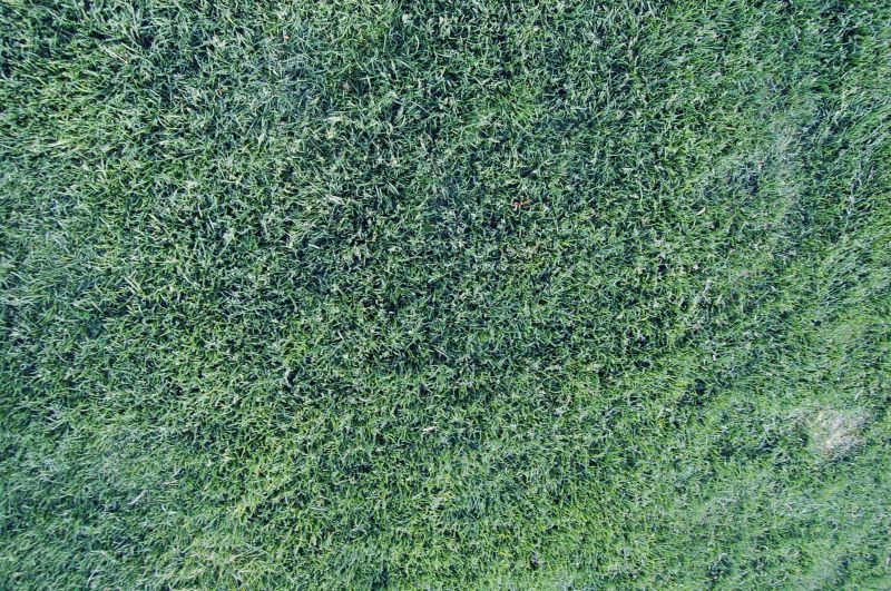 肌理 水泥 土地-草皮 011下载