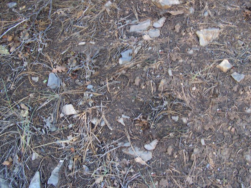 肌理 水泥 土地-草皮 014下载