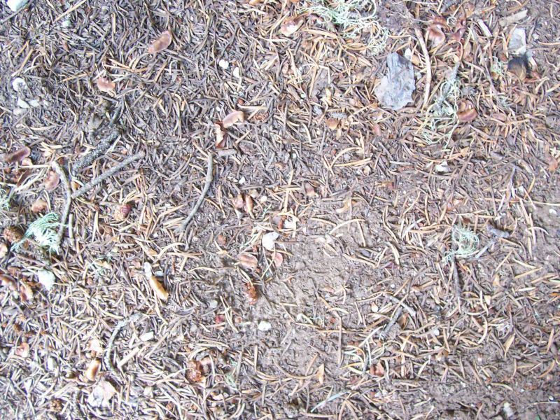 肌理 水泥 土地-草皮 015下载