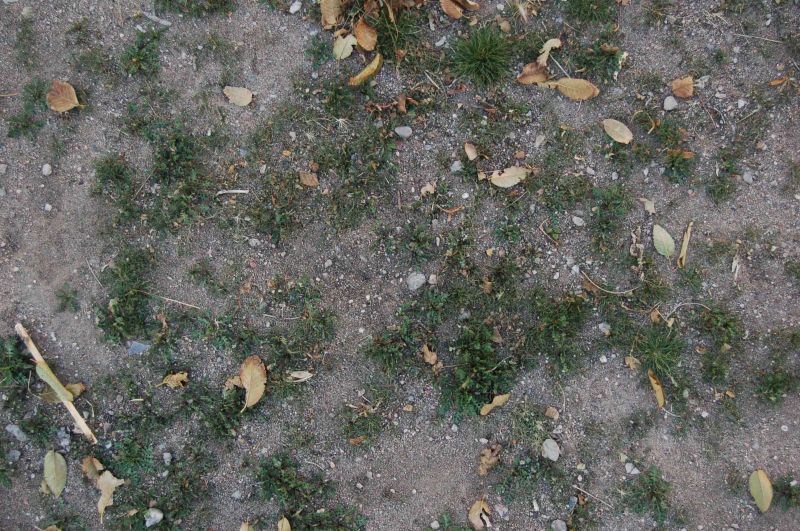 肌理 水泥 土地-草皮 031下载