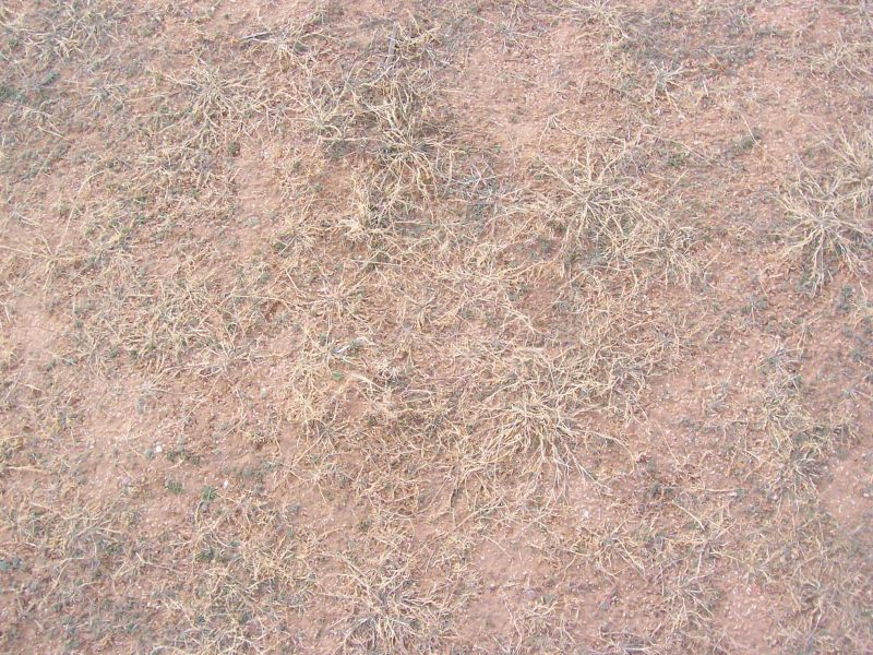 肌理 水泥 土地-草皮 033下载