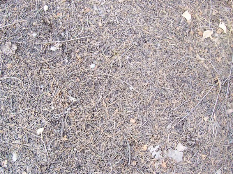 肌理 水泥 土地-草皮 041下载