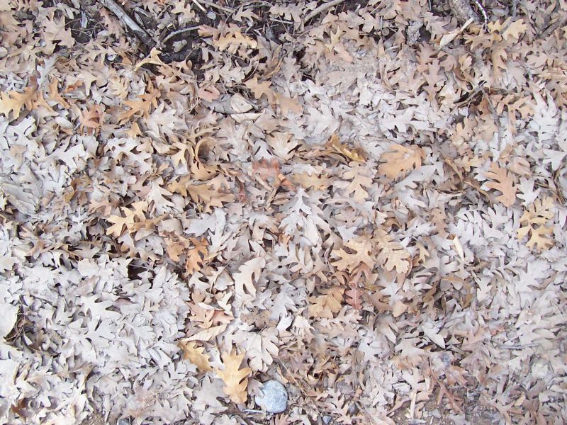 肌理 水泥 土地-草皮 048下载