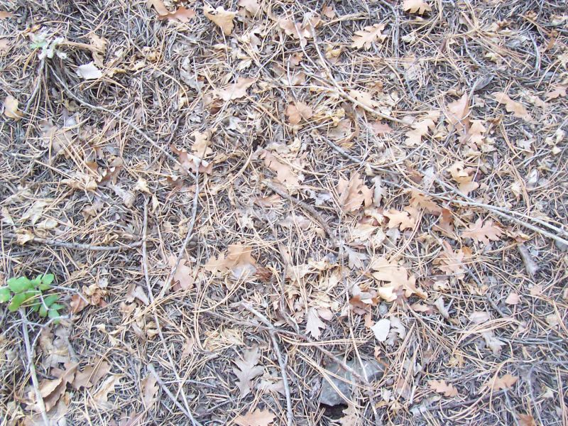 肌理 水泥 土地-草皮 049下载