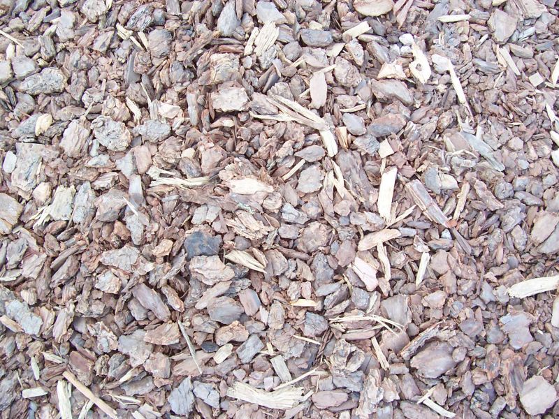 肌理 水泥 土地-草皮 053下载