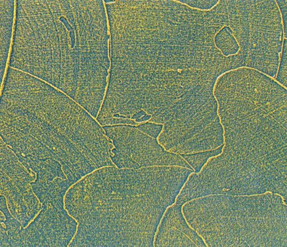 肌理 水泥 土地-肌理漆 029下载