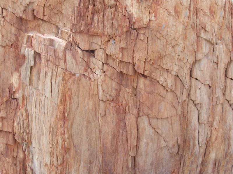 肌理 水泥 土地-石头 118下载