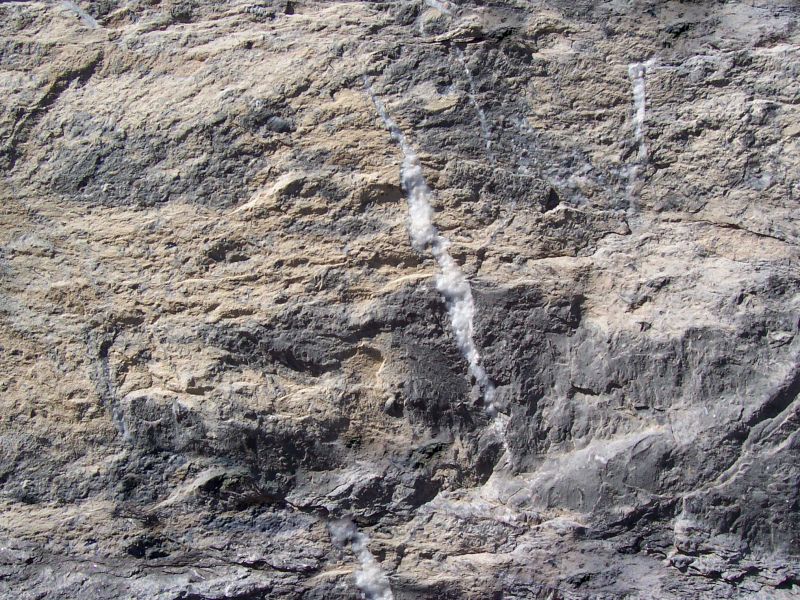 肌理 水泥 土地-水泥 244下载