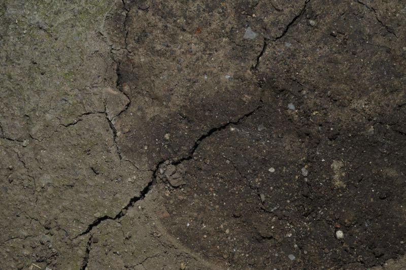 肌理 水泥 土地-土地 008下载