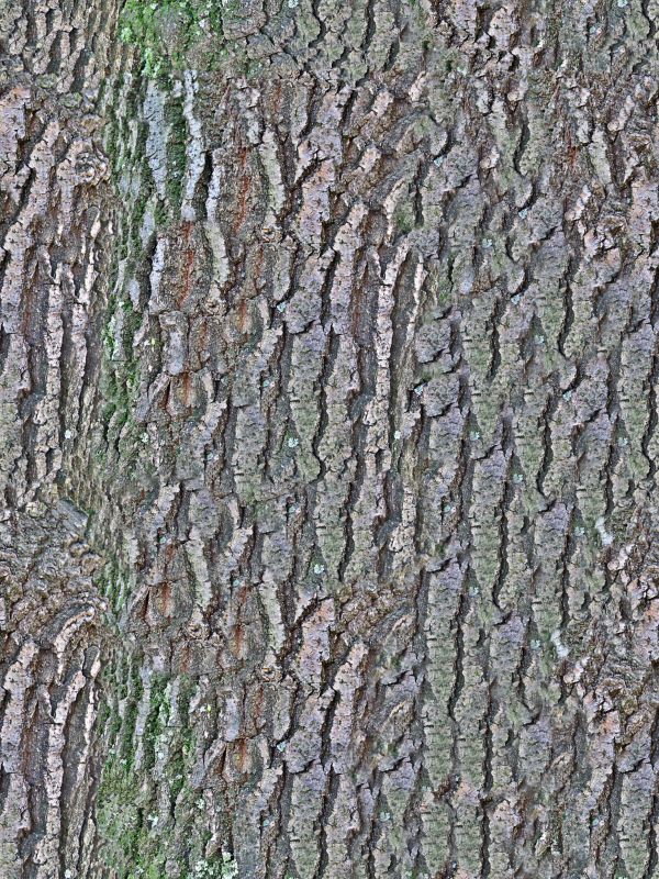 木纹木材-树皮 062下载