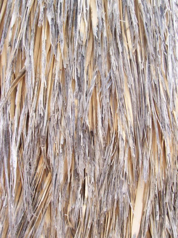 木纹木材-树皮 105下载