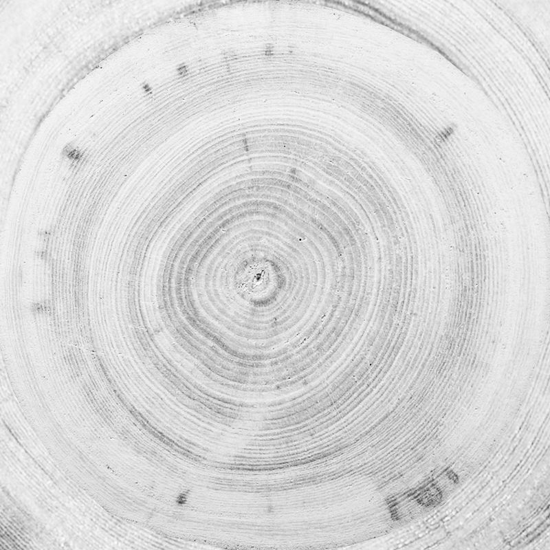 木纹木材-年轮 002下载