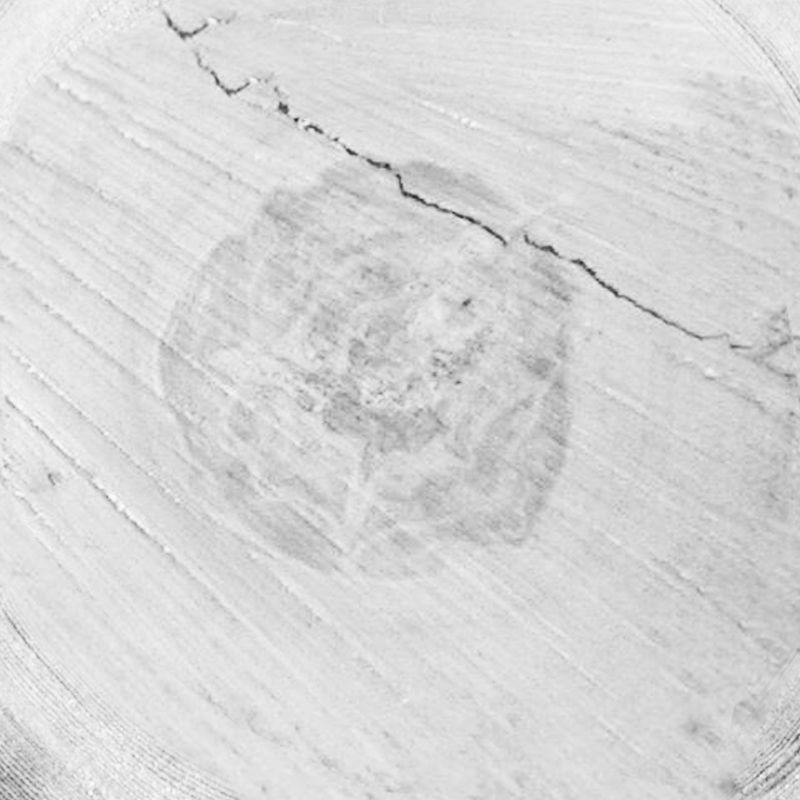 木纹木材-年轮 005下载