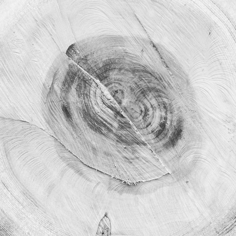 木纹木材-年轮 007下载