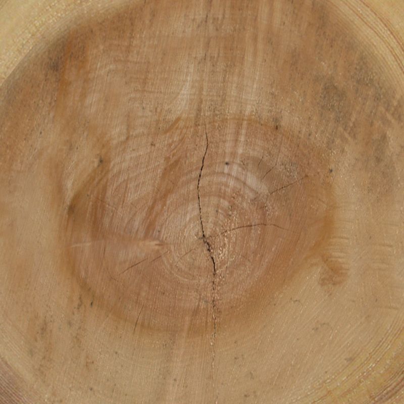 木纹木材-年轮 019下载