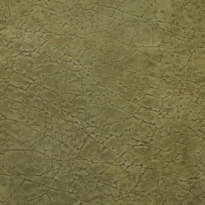 皮革-国外皮纹 014下载