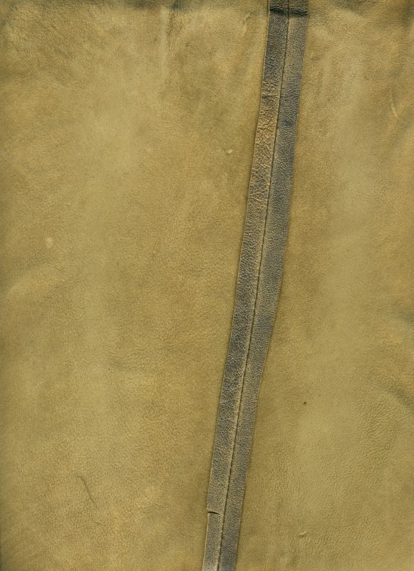 皮革-国外皮纹 023下载