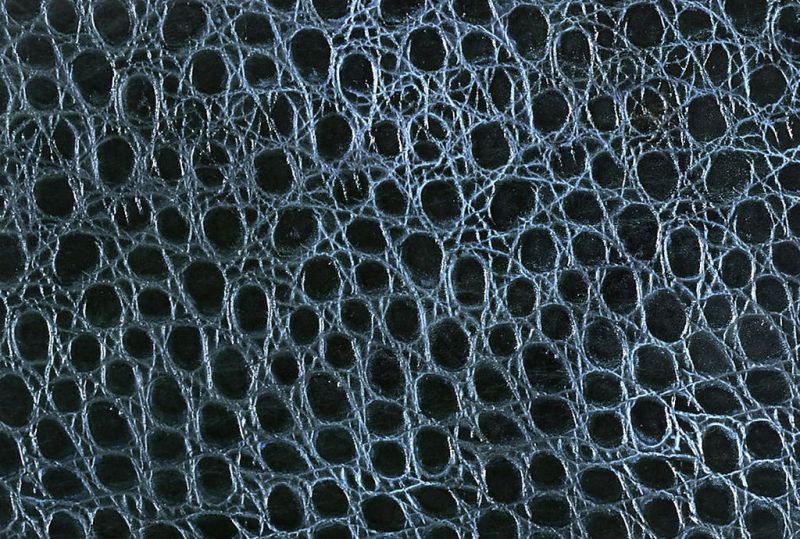 皮革-常用皮革 041下载