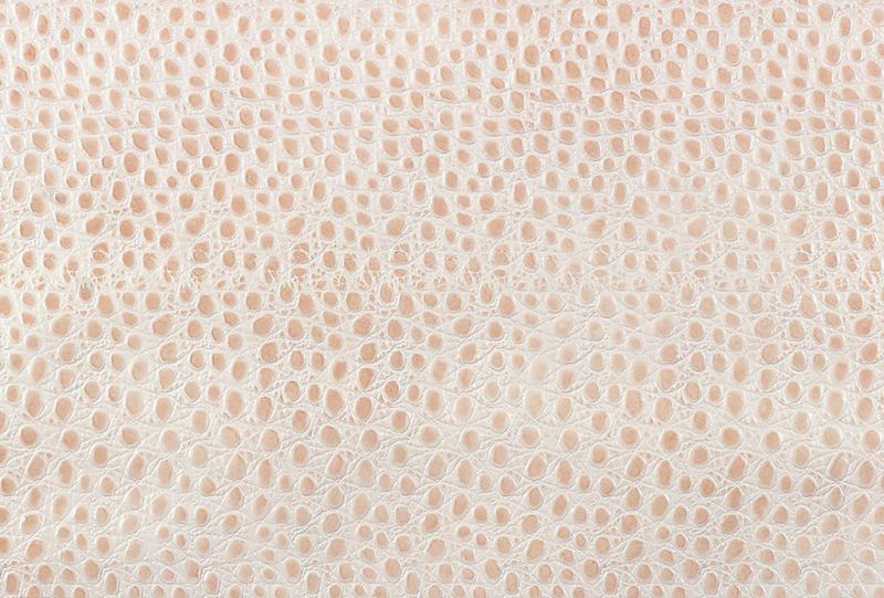 皮革-常用皮革 042下载