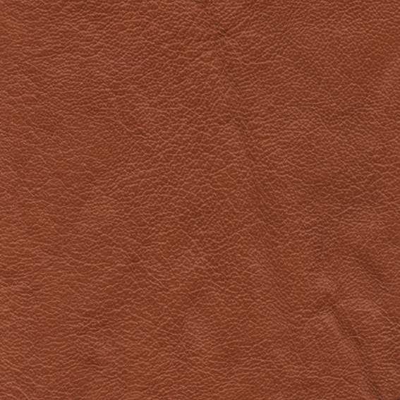 皮革-常用皮革 091下载