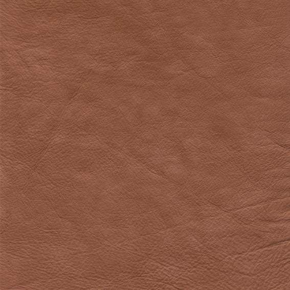 皮革-常用皮革 097下载