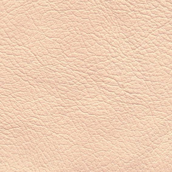 皮革-常用皮革 139下载