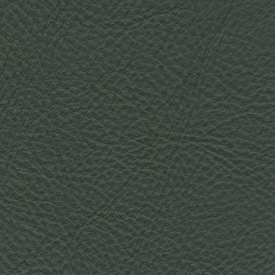 皮革-常用皮革 155下载