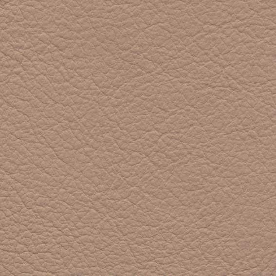 皮革-常用皮革 164下载