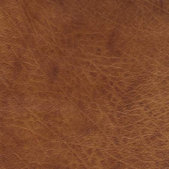 皮革-常用皮革 180下载