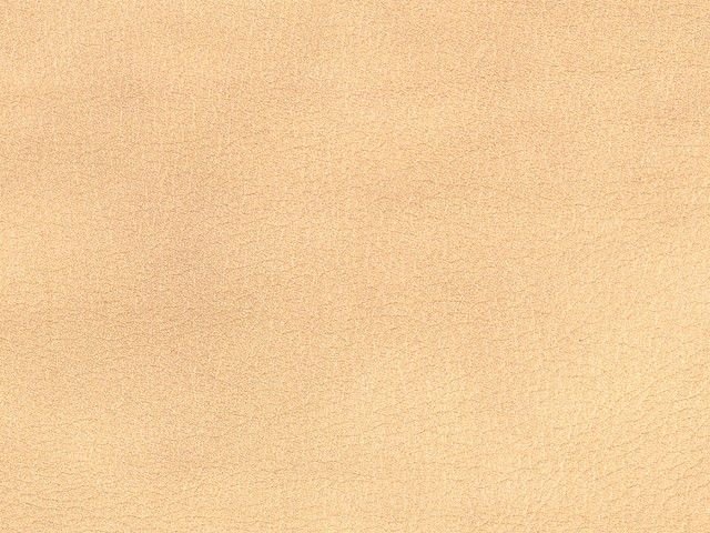 皮革-常用皮革 050下载