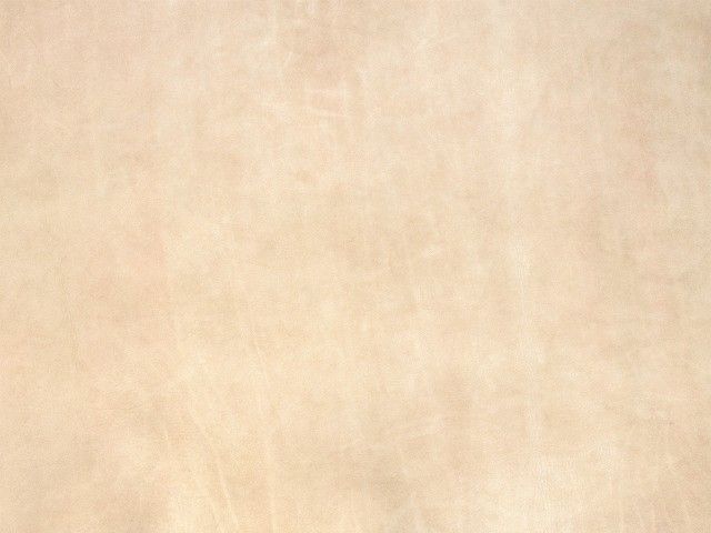 皮革-常用皮革 058下载