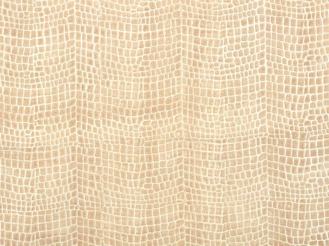 皮革-常用皮革 062下载