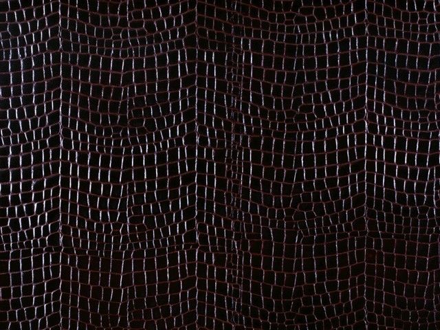 皮革-常用皮革 061下载