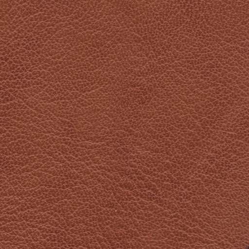 皮革-常用皮革 106下载