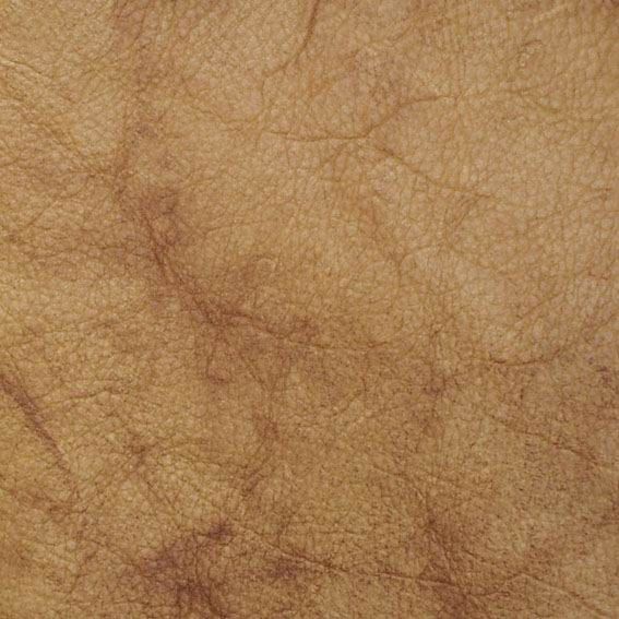 皮革-粗皮纹 007下载
