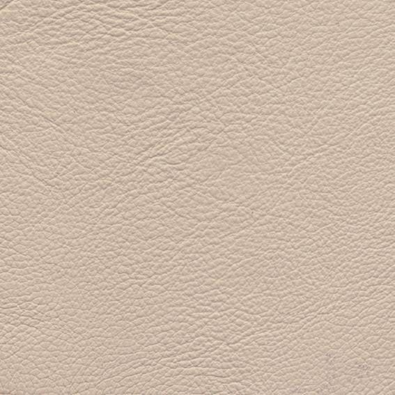 皮革-粗皮纹 010下载