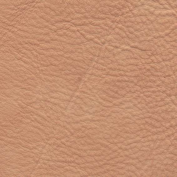 皮革-粗皮纹 021下载