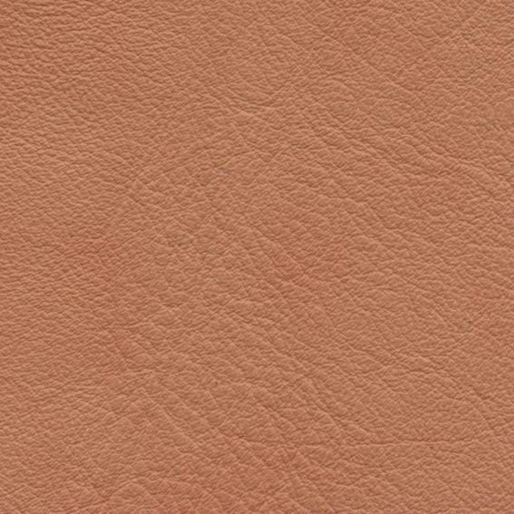 皮革-粗皮纹 020下载