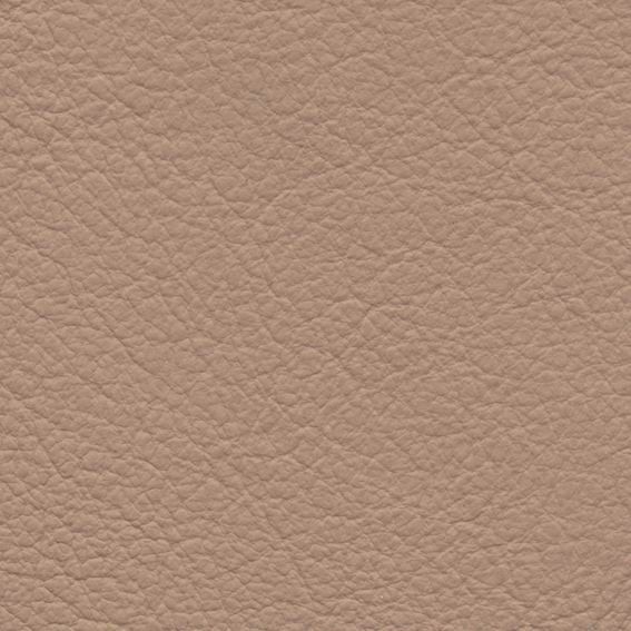 皮革-粗皮纹 032下载