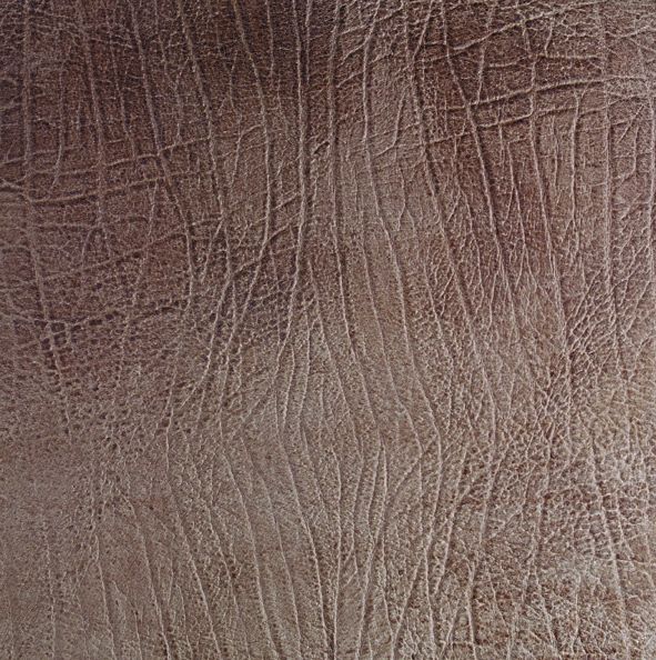 皮革-皮纹砖 006下载