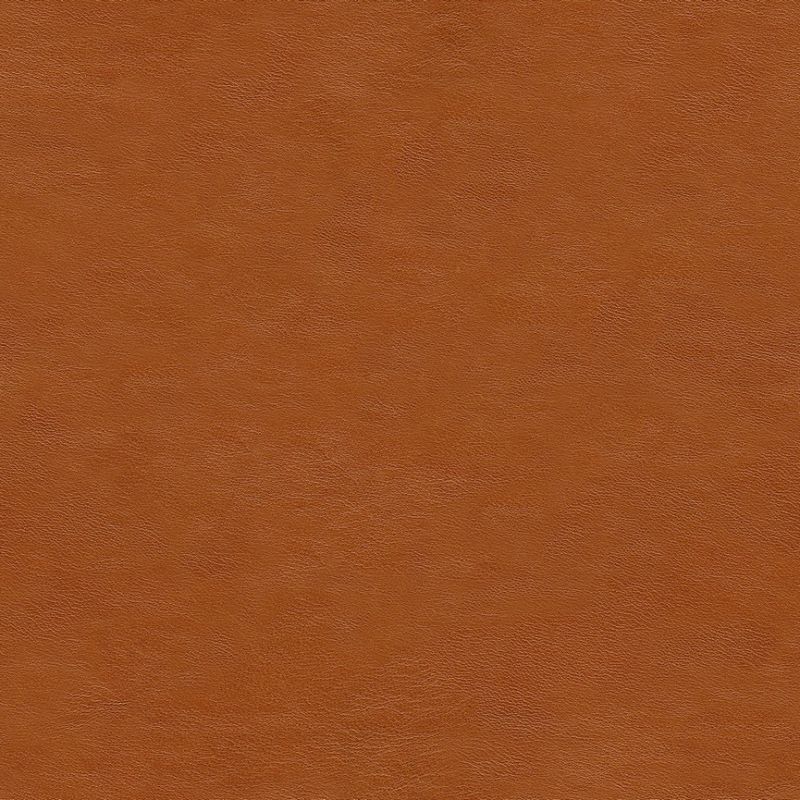 皮革-常用皮革 006下载