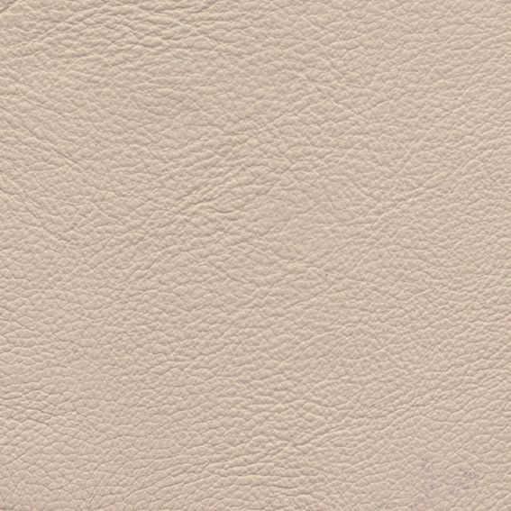 皮革-压花 005下载